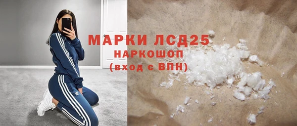 ГАЛЛЮЦИНОГЕННЫЕ ГРИБЫ Кукмор