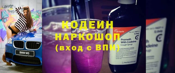 шишки Куйбышев