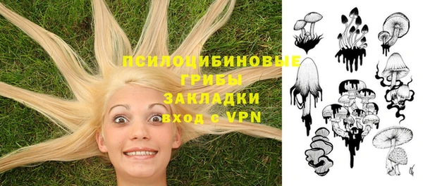 шишки Куйбышев