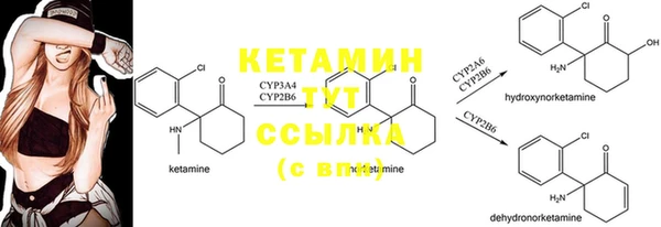 шишки Куйбышев
