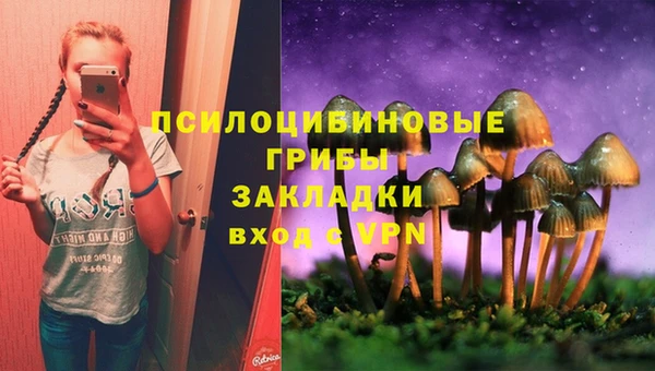 ГАЛЛЮЦИНОГЕННЫЕ ГРИБЫ Кукмор
