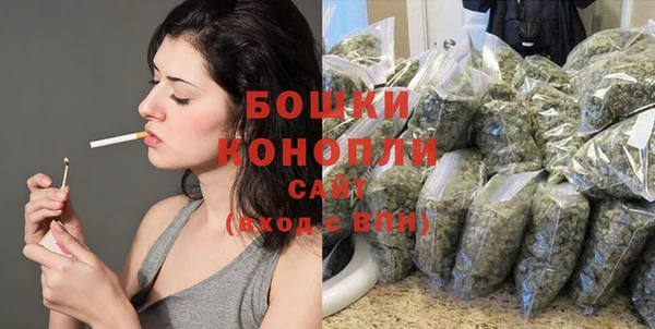 шишки Куйбышев