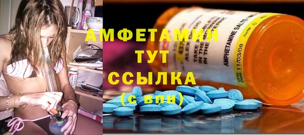 ГАЛЛЮЦИНОГЕННЫЕ ГРИБЫ Кукмор