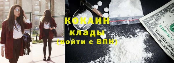 шишки Куйбышев