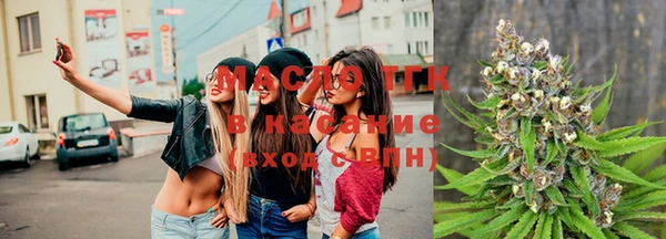 сатива Ахтубинск