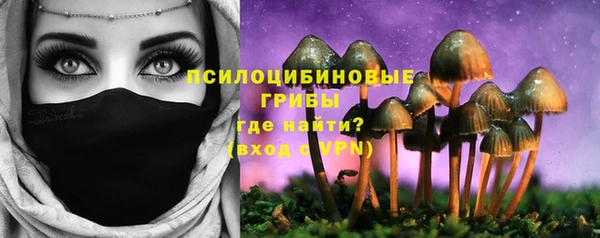 индика Бабаево