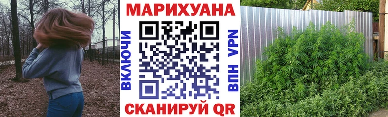 Каннабис Bruce Banner Коркино